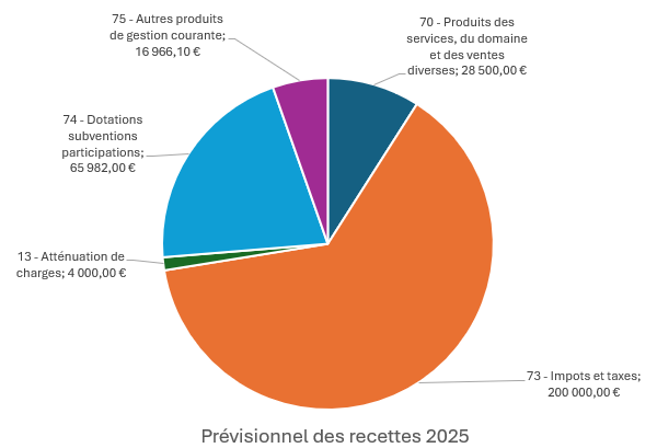 Budget de recettes 2025